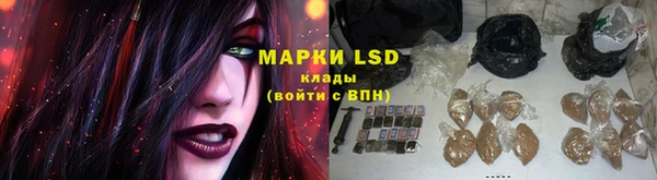шишки Алексин