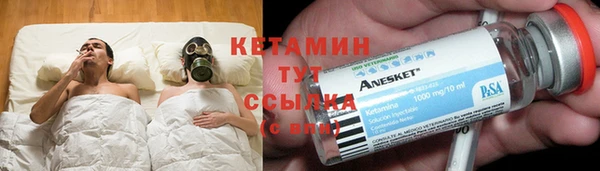 шишки Алексин