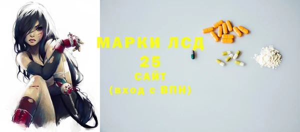 шишки Алексин