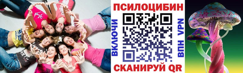 хочу наркоту  Моздок  Галлюциногенные грибы Psilocybe 