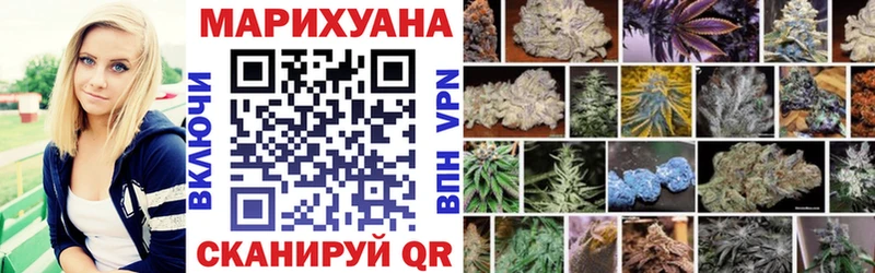 Бошки Шишки план  OMG зеркало  Моздок 